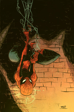 skottieyoung:  Old Spidey cover, upside down