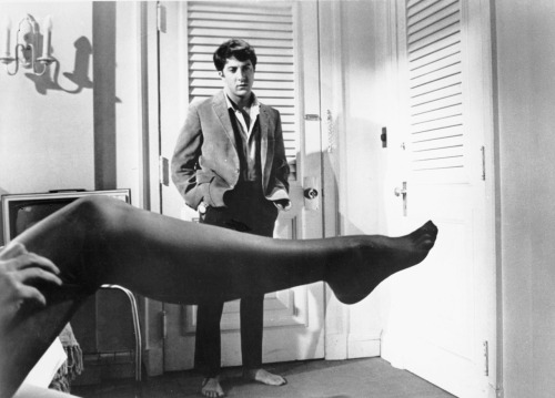 Watching “The Graduate”. ~ Mr Bunny 