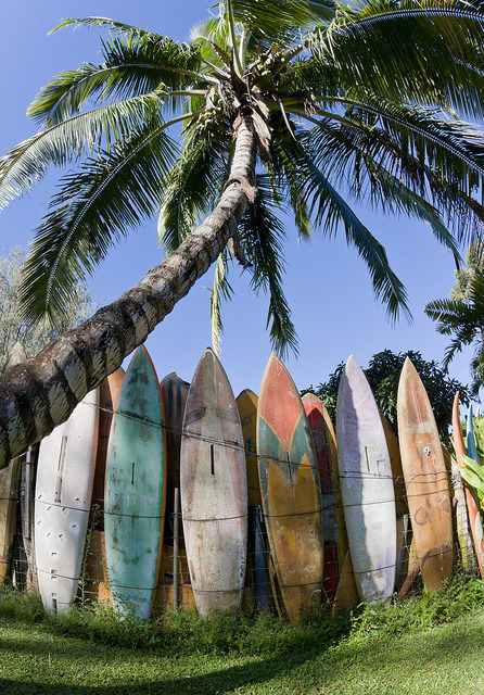 surfing-in-harmony:  ☼ 