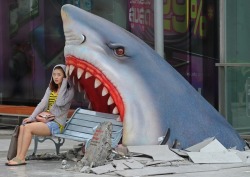 ianbrooks:  Shark Bench In Thailand, the sharks dont even wait for you to get in the water.  (photo by Pornchai Kittwongsakul / via: Buzzfeed)  