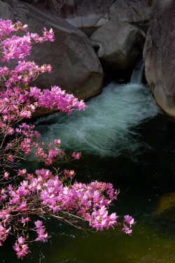  Shosenkyo Gorge, Kofu city Yamanashi 