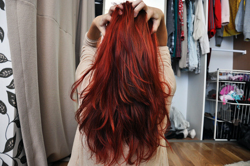 dumbtits:  can i have your hair pls 