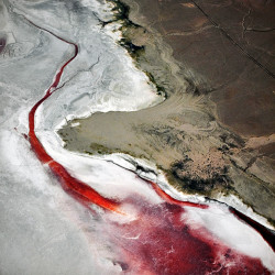 travelingcolors:  Above the California Desert (by Brad Gillette)The salt crust is colored red by dense colonies of halophilic archaebacteria.  