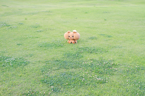 otafukuma:(PokuPokuPo | ぽくぽくぽ by POTZKUNから)