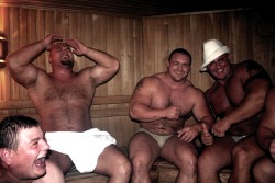 superbears:  SO WANT THESE THIC  BOYS..