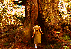 katelizabeth:  And it is said that the Princess returned to her father’s kingdom.