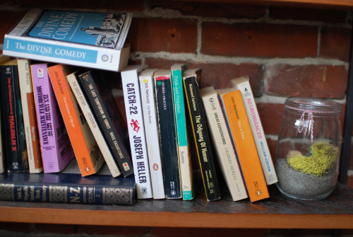 I have books. I have lots and lots of books. Row after row of bound paper that sits on endless shelv
