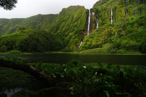 At Poço da Alagoinha by Gregor Samsa on Flickr.