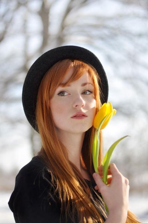 Yellow tulip & the redhead.