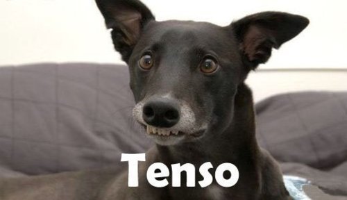O mês de Julho ta acabando, ou seja ter que voltar pra aquele inferno daquela escola: