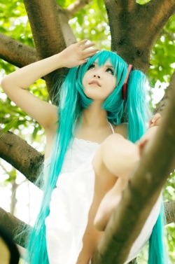cutecosplayers:  source