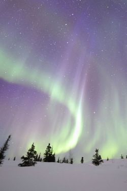 intoxifaded:  dolly-koala-beaarr:  I saw the aurora borealis once.   I told everyone at school but no one believed me.  ftr I don’t believe you either