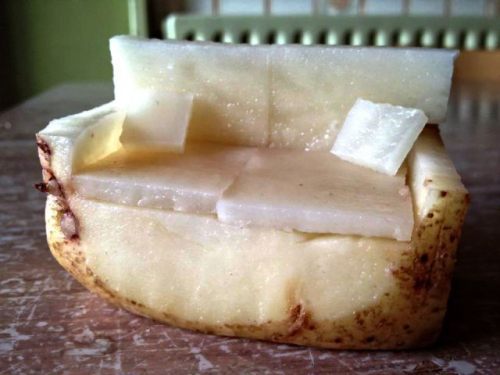 stonerzig:  absolutelymadness:  Couch potato adult photos