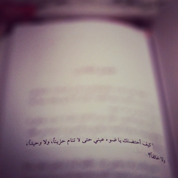 sndeeh