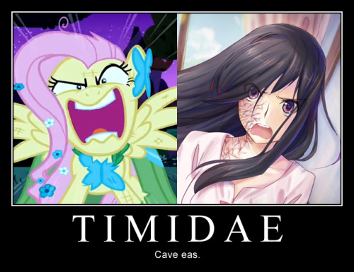 TIMIDAECave eas.THE SHY ONESBeware them.