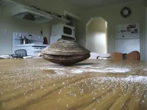 Sex videohall:  Clam eats salt  “Weirdest video pictures