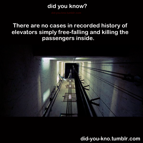 objectiongirl:  did-you-kno:  Source  GOOD NEWS FOR EDGEWORTH  “Fifty-seven percent of the "fall deaths” are due to collapse of the floor of the elevator car. Many older elevators have rotted plywood floors or support brackets weakened