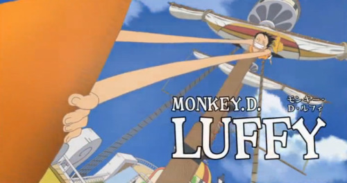Gotta Love One Piece