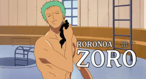 Gotta Love One Piece