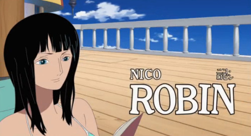Gotta Love One Piece