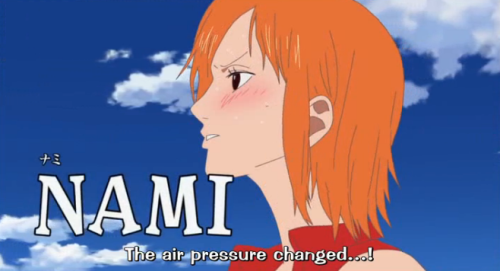 Gotta Love One Piece