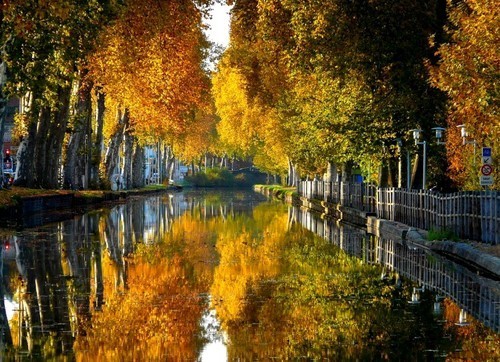 bluepueblo:  Canal du Centre, Bourgogne, France photo via always 