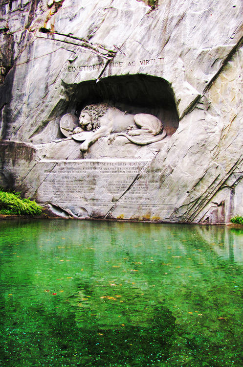 orchid-ink:  there’s a really really old lion carved in a rock at the park down