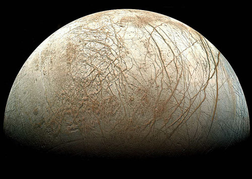 Life On An Icy Moon