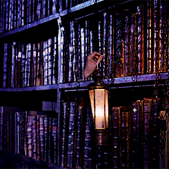 smells-like-potter-spirit:  snapesdesire: Harry Potter Alphabet ‘ ↳ Invisibility