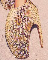 0hmygaga:  lady gaga + high heels 
