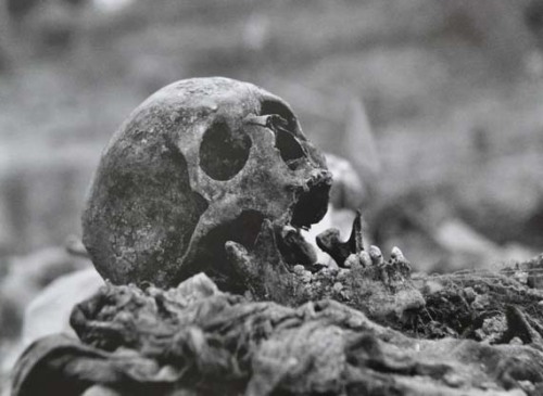 againstthemodernworld: Mass grave Budak in Srebrenica. Photo by Muhamed Mujkić.