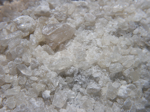 tumblr photo dadaonice 0