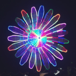 rageinageorge:  electric daisy @ edc 2012