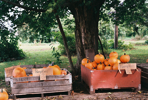 accaryan.tumblr.com/post/30398958157/