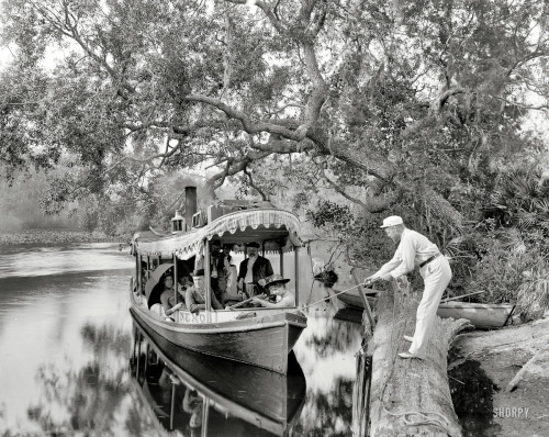 XXX William Henry Jackson - A landing on the photo