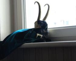 valeria2067:  solarbeans:  zaikira4world:  superwholockianlady:  jillypooh:  sweet-henrietta:  I am Lokitty, of Catgard, and I am burdened with glorious purrrpose.  This windowsill pleases me.    YOU GIVE UP THIS CATNIP DREAM! YOU COME HOME!  AND HE