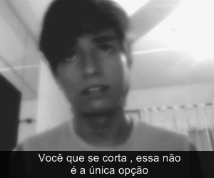 PINGUINS VOADORES