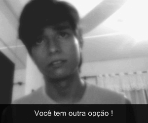 PINGUINS VOADORES