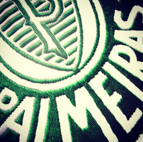 palmeiras