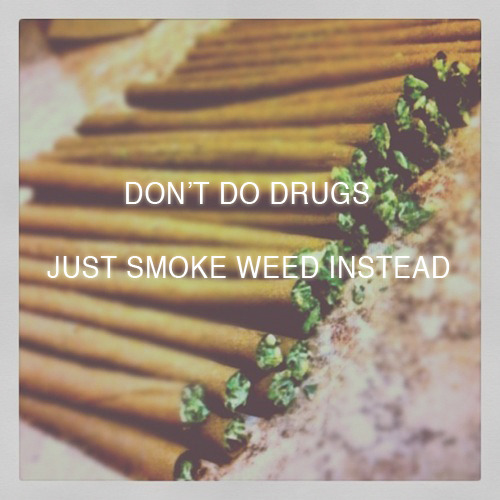 http://sweetphoenixuniverse.tumblr.com/post/115420872832