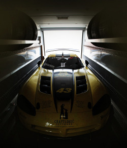 visualuniverse:  I photographed my neighbor’s racing Dodge Viper in his racing trailer. 