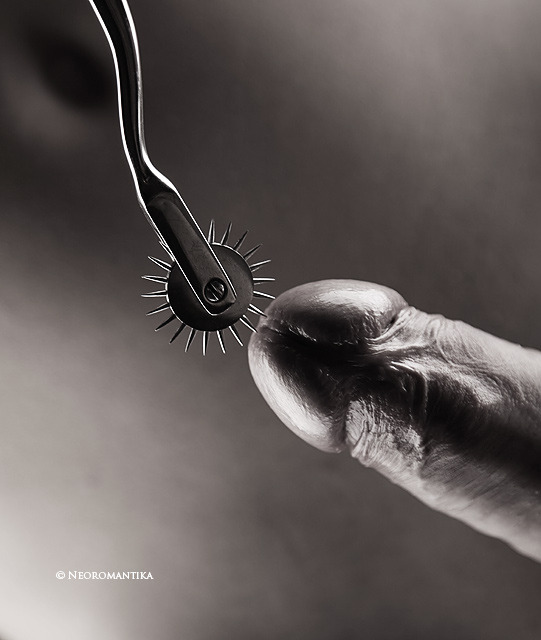 flyindabyrd:  Such a hard cock…such a prickly wheel…Hold on to him tightly when