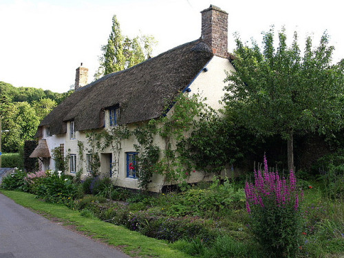 Lovely cottage in Dunster, Somerset, England (by monitoress).]]>