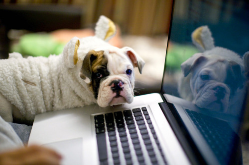 definitelydope:  waiting for fan mail :-) (by suki……) 
