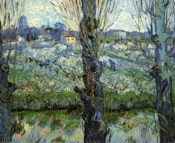 iamjapanese:  Vincent van Gogh Orchard in