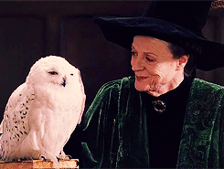 cobie-smulders:Harry Potter Meme ϟ 7 characters↳ {3/7} Minerva McGonagall