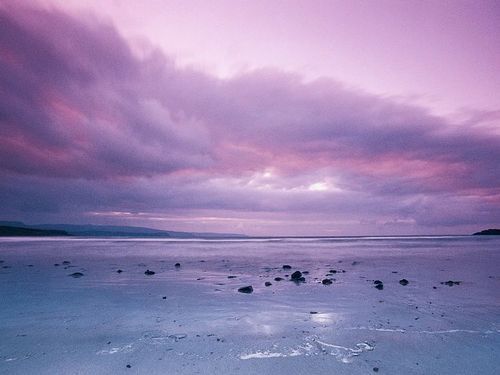 Guaranteed to be the most beautiful blog you’ve ever seen!