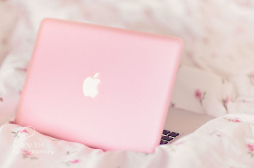 Guaranteed to be the most beautiful blog you’ve ever seen!