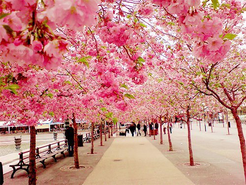 Guaranteed to be the most beautiful blog you’ve ever seen!