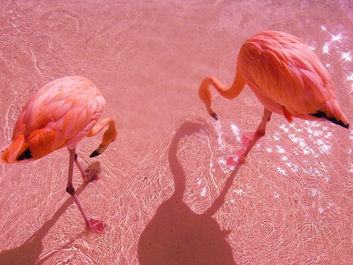 Guaranteed to be the most beautiful blog you’ve ever seen!